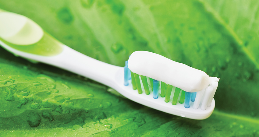 peaceful image of a tooth brush with toothpaste on it resting on a green leaf.